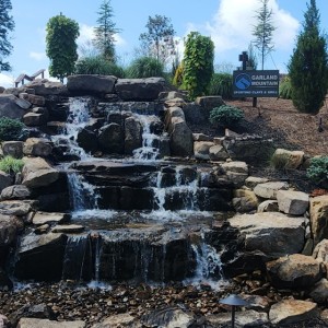 511123367 1148124174011527 n